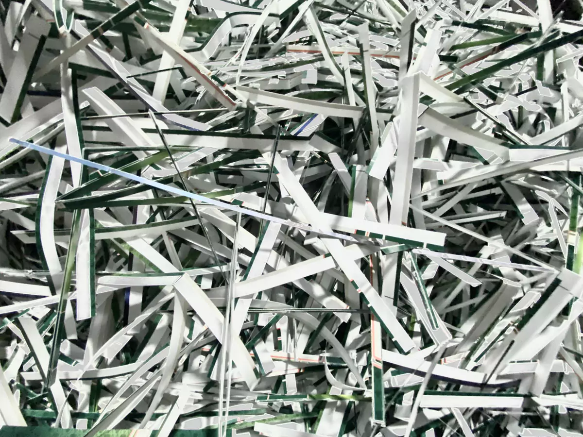 Closeup of shredded paper. Image by Sydney Rae on Unsplash